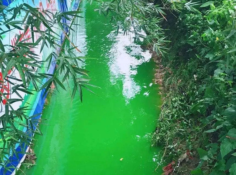 觸目驚心！水全都“染綠”了！多家企業被查處！