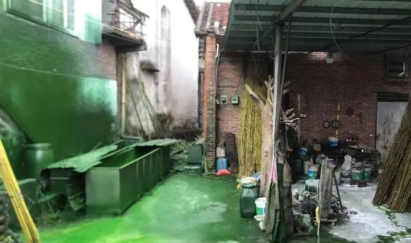觸目驚心！水全都“染綠”了！多家企業被查處！